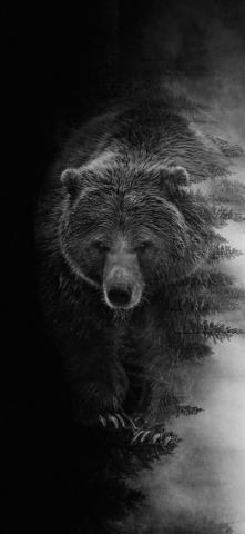 Sweet T Photography Portland On Cute Animals Animal