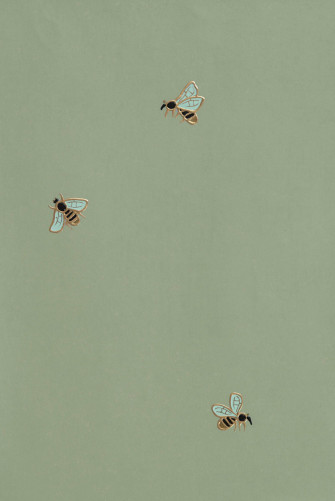 Sage Green Aesthetic Wallpaper