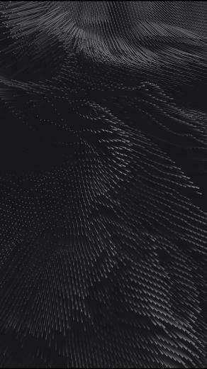 Phone Wallpaper
