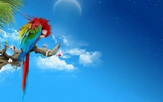 Parrot Wallpaper Best