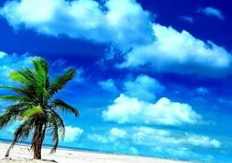 Beach Wallpaper Android Live Pixel Popular HD