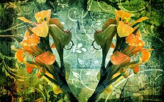 Wet Autumn Flower Wallpaper By Satyaaa