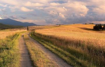 Wallpaper Road Field Summer Grass Clouds Trees Mountains