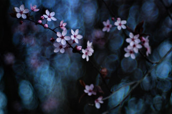 Aggregate High Resolution Dark Floral Wallpaper