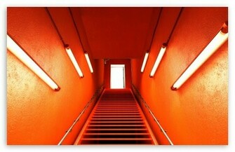 Basement Wallpaper