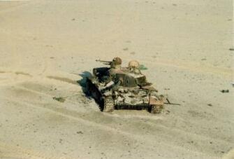 Desert Storm Pictures Three