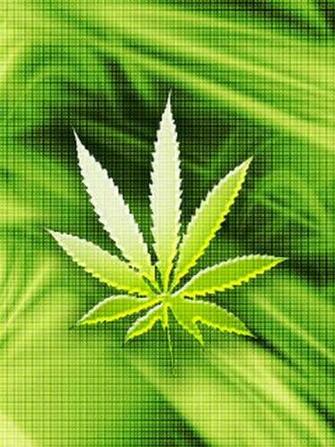 HD Weed Wallpaper Weedpa