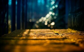 Close Up Land Light Tree Sun Blur Bokeh Background Wallpaper