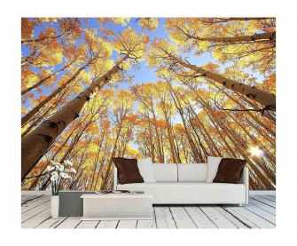 Amazon Wall26 Aspen Trees With Fall Color San Juan