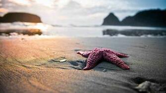 The Best Beach Background Wallpaper Of