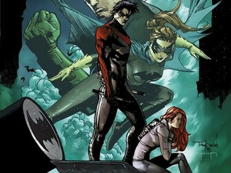 Nightwing Computer Wallpaper Desktop Background Id