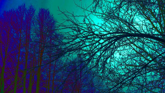 Trippy Nature Wallpaper On