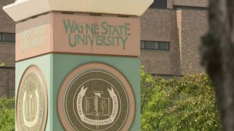 Wayne State University Wallpaper