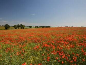 English Landscape Desktop Background