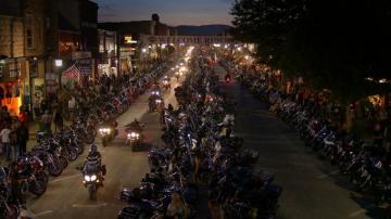 Sturgis Wallpaper Group