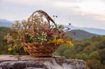 Brown Woven Basket With Green And Yellow Flowers On Gray Concrete