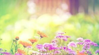 Spring Background