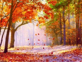 Fall Wallpaper Cynthia Selahblue Cynti19