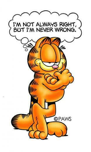 Garfield Expressions Live Wp Screenshot