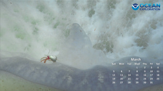 Wallpaper Calendar Noaa Ocean Exploration