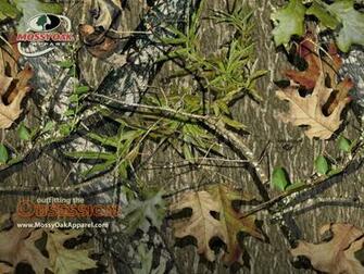 Pink Mossy Oak And Camo Wallpaper