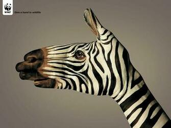 Wildlife Fund Zebras World Wallpaper