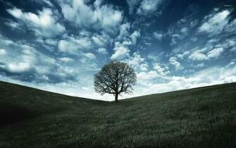 Round Lonely Tree Wallpaper Wide HD