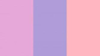 Purple And Pink Windows Wallpaper HD Desktop Picture