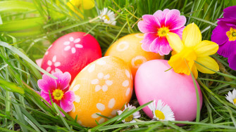 Wallpaper Easter Eggs Flowers Primula Narcissus Grass