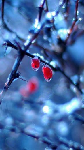 Winter Wallpaper iPhone