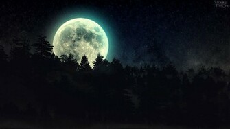 Forest Moonlight HD Wallpaper FullHDwpp Full