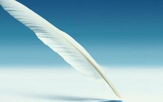 Deviantart More Like White Feather Wallpaper By Rohelion
