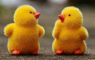 Easter Baby Chicks 4k HD Desktop Wallpaper For Ultra Tv