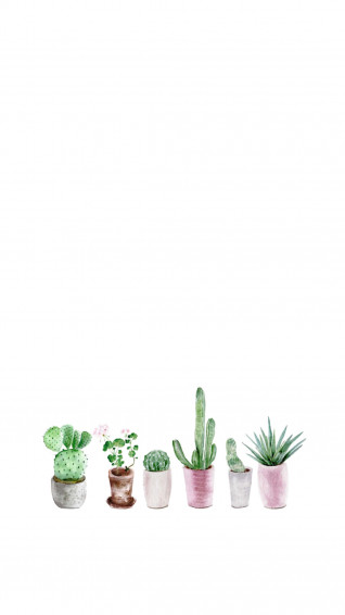 Cactus iPhone Wallpaper