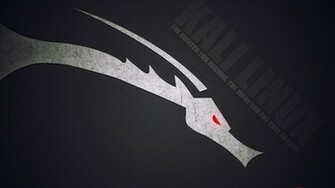 Kali Linux Desktop Pc And Mac Wallpaper
