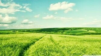 Desktop Wallpaper Summer