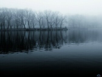 Dark Forest Wallpaper Pictures Photos And Background