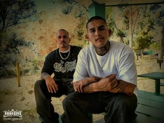 Mild S Homies Wallpaper