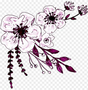 Watercolor White Flower Clipart Logo De Ministerio La Mujer