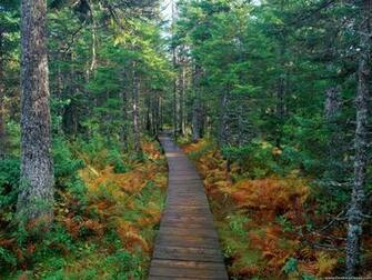 Desktop Wallpaper Natural Background Fundy National Park