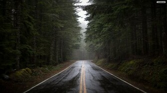 Dark Forest Road Wallpaper