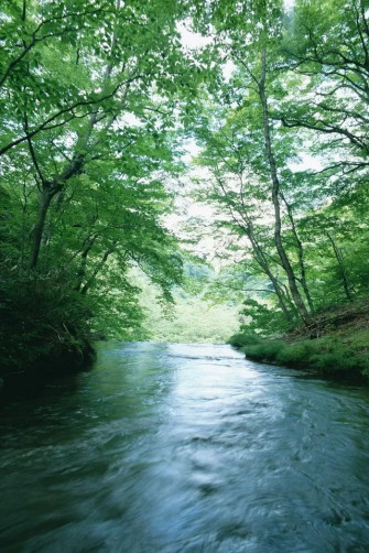 Spring River iPhone 4s Wallpaper Nature