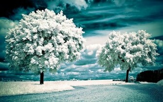 Winter Wallpaper Background