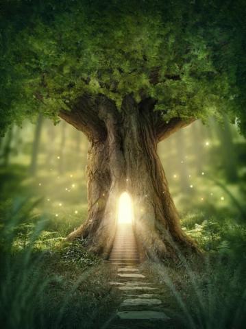 Fairy Tree House Magic Wallpaper Wall Mural