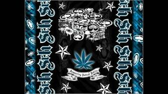Best Srh Wallpaper Potluck