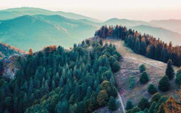 Wallpaper Of Trees Posted By John Simpson