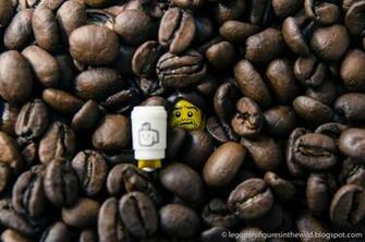 Wild Lego Minifigure Series Movie Larry The Barista Wallpaper