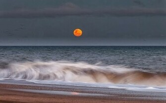 Harvest Moon Picture