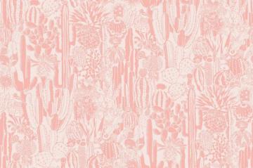 Cactus Spirit Wallpaper In Splendid Design By Aimee Wilder