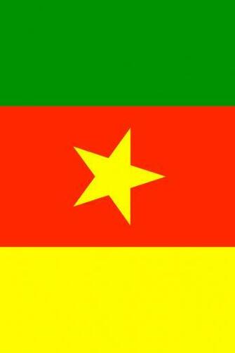 Cameroon Flag iPhone Wallpaper HD